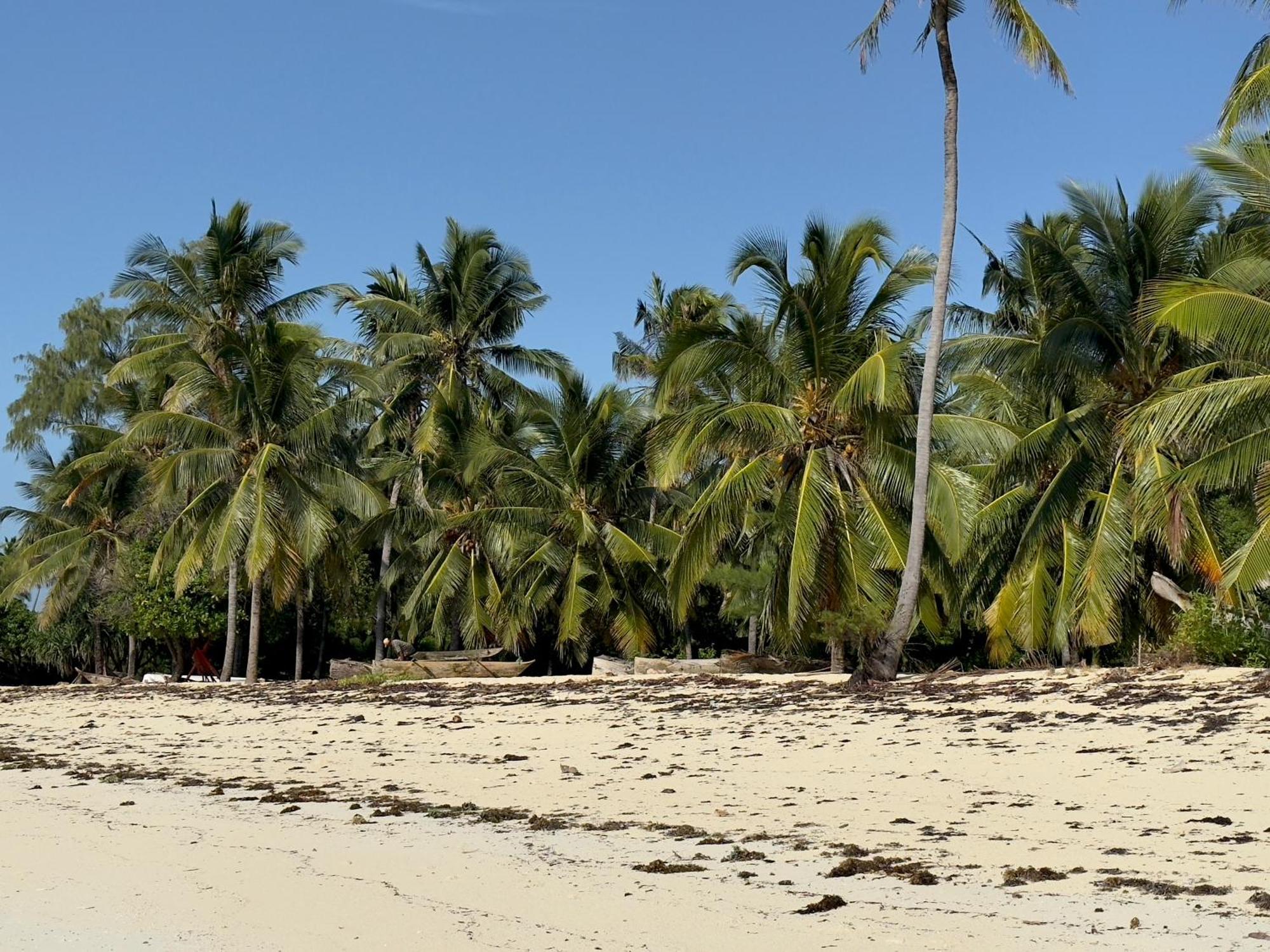 Juana Ocean Villas Makunduchi Buitenkant foto